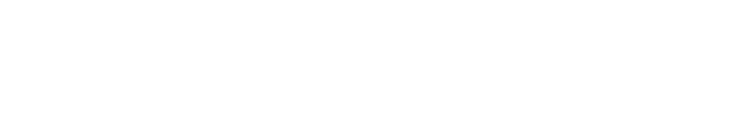 logo monochrome blanc de steelaris